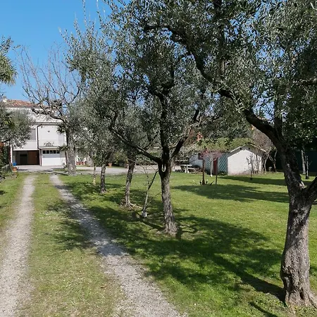 Hotel Olimpia Sirmione