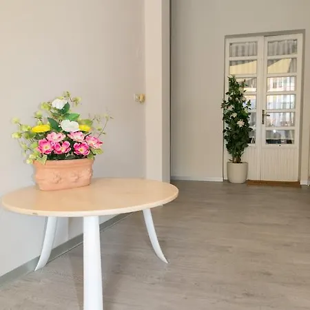 酒店 奥林匹亚酒店 2*