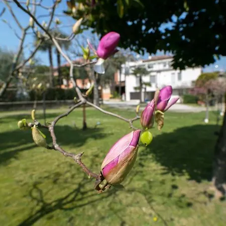 酒店 奥林匹亚酒店 西尔米奥奈
