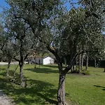 Hotel Olimpia Sirmione