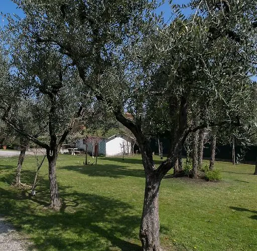 Hotel Olimpia Sirmione