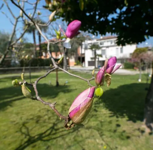 Hotel Olimpia Sirmione
